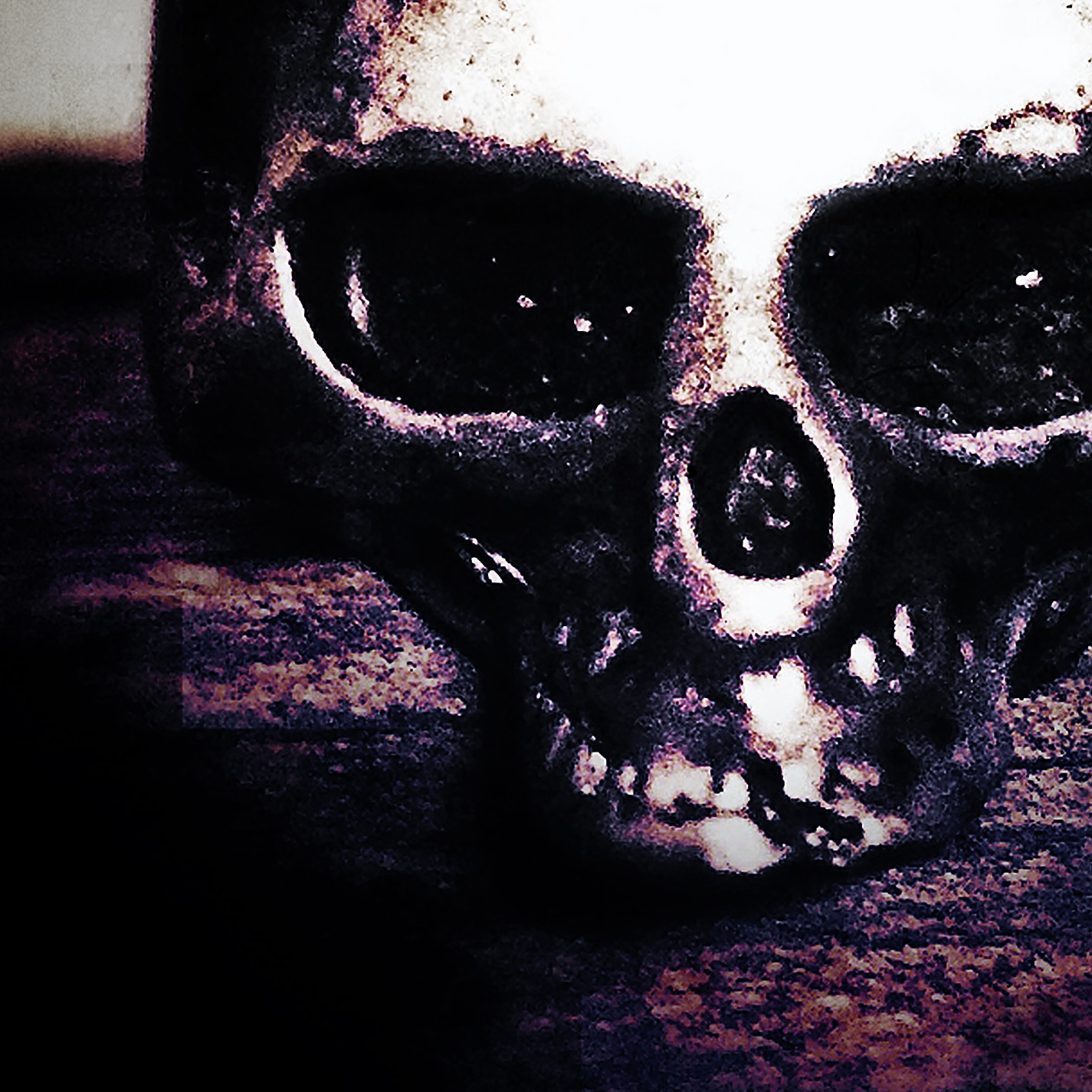 macro photo of a tiny steel skull